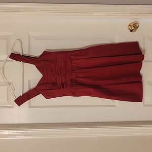 Express red fit dress